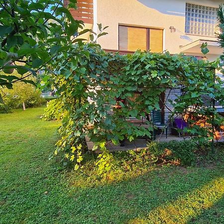Apartment Ajdna Zirovnica 外观 照片