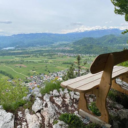 Apartment Ajdna Zirovnica 外观 照片
