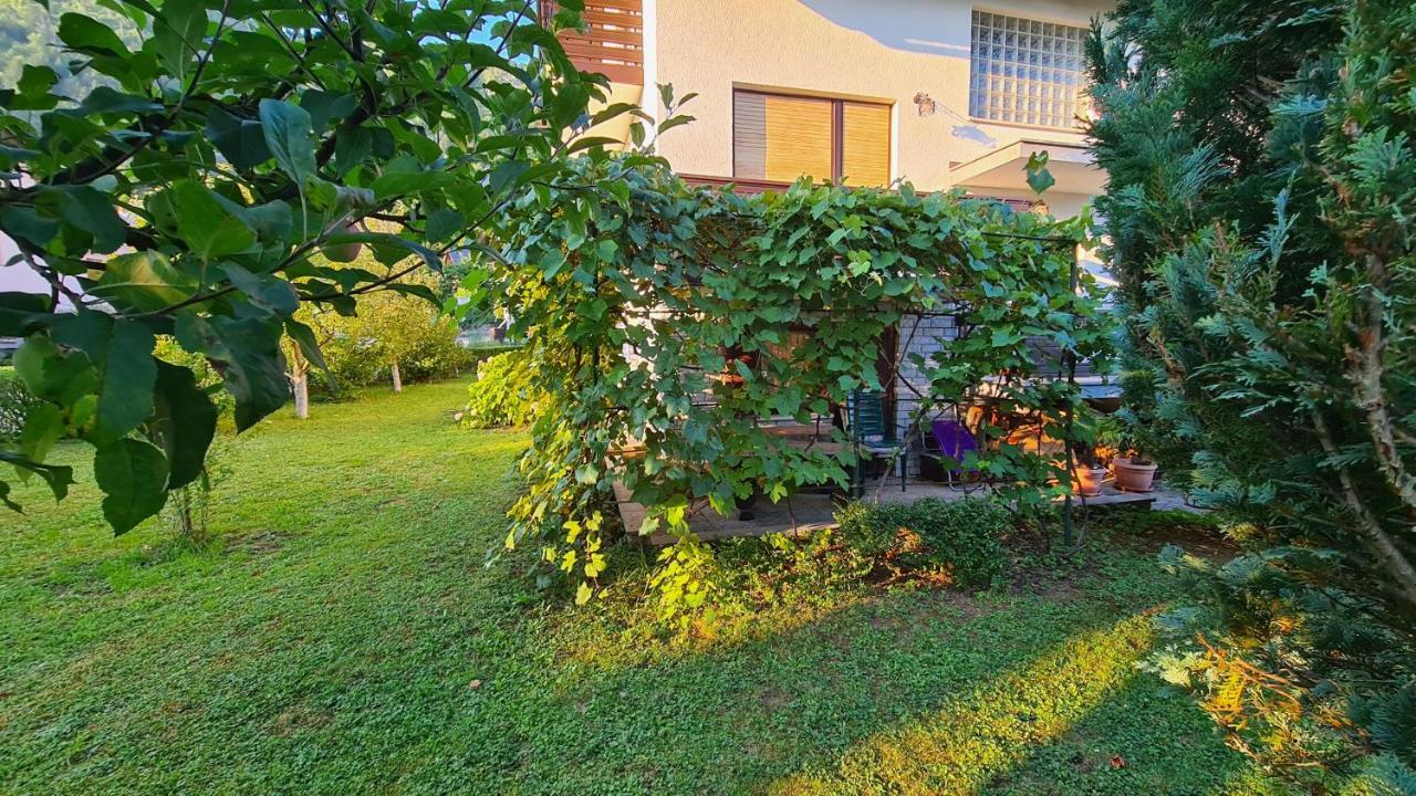 Apartment Ajdna Zirovnica 外观 照片