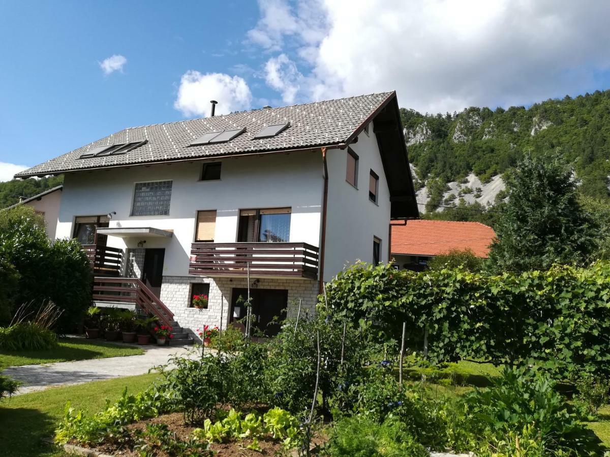 Apartment Ajdna Zirovnica 外观 照片